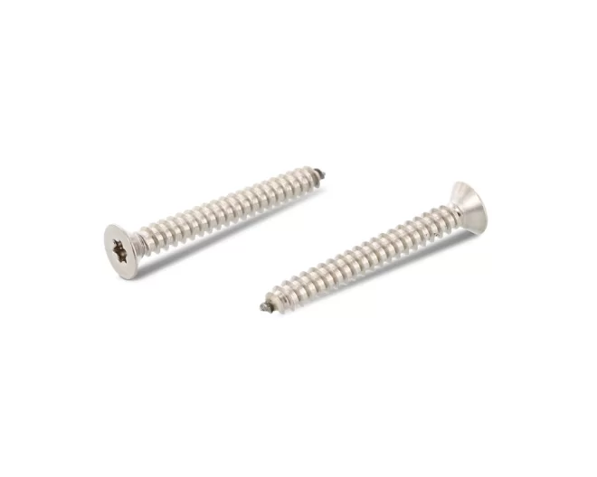 ISO14586 PASLANMAZ YHB TORX SAC VİDA