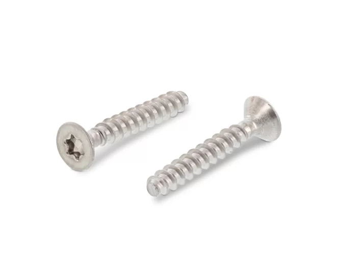 ART9090 PASLANMAZ TORX HAVŞA BAŞLI VİDA