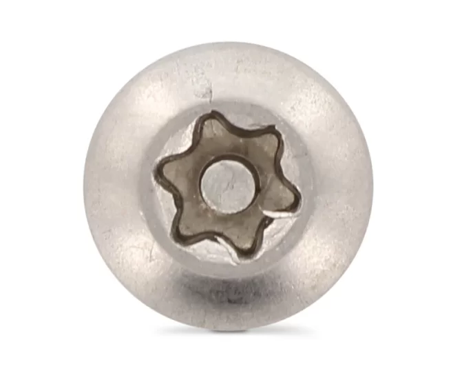 ART9120 PASLANMAZ SB TORX PİMLİ GÜVENLİK VİDASI