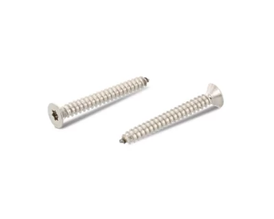 ISO14586 PASLANMAZ YHB TORX SAC VİDA