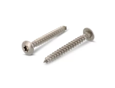 ART9083 PASLANMAZ TORX MENTEŞE VİDASI