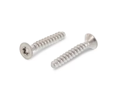 ART9090 PASLANMAZ TORX HAVŞA BAŞLI VİDA
